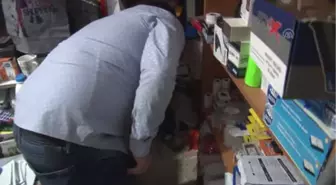 İş Yerinde Yavrulayan Kedi ve Yavrularını Sahiplendi