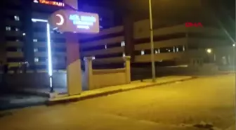 İzmir Anestezide 'Azot' Verildiği İleri Sürülen Ege, Yaşam Mücadelesi Veriyor