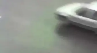 Otoyolun Ortasında Kalan Köpeği Böyle Kurtardılar