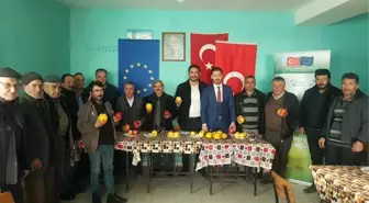 Gördes'in Aromasıyla Ünlü Ayvası Yeniden Canlanıyor