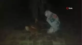 Çuvala Doldurulup Ölüme Terk Edilen Tavukları Yoldan Geçen Genç Kurtardı