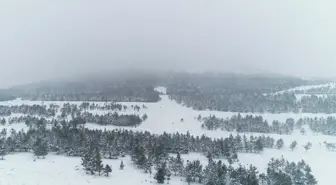 Doğuda Kar Hem Çile Hem Güzellik Getirdi