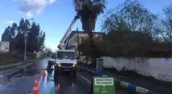 Koçarlı'da Temizlik Çalışmaları Devam Ediyor