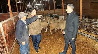 İl Müdürü Yoldaş'dan Hayvancılık İşletmesine Ziyaret
