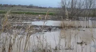 Karacabey'de Dereler Taştı, Tarım Arazileri Su Altında Kaldı