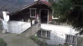 Yadigar Dede'Nin İlham Kaynağı Yalnızlık Oldu