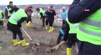 Çankırı Belediyesi Bin 500 Fidanı Toprakla Buluşturdu