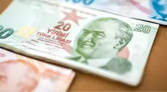 Yeni 20 TL'lik Banknotlar 24 Aralık'ta Tedavüle Girecek