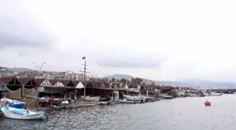 Türkiye'den 20 Ülkeye Hamsi İhraç Edildi