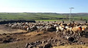 Üreticiye Destek Sürüyor