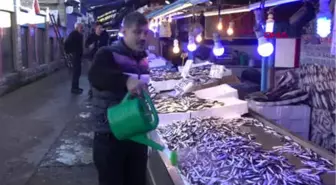 Trabzon Balıkçılar Vatandaşı Uyardı; 1,5 Ay Sonra Tükenecek Hamsi İçin Ellerini Çabuk Tutsun