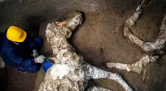 Pompeii'de Roma Dönemine Ait At İskeleti Bulundu