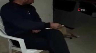 Aç Tilki Şehre İndi.. Vatandaş, Evine Gelen Tilkiyi Eliyle Besledi