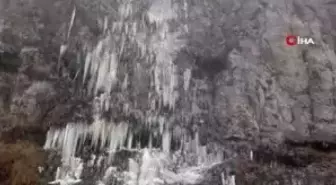 Ardahan'da Soğuk Hava Nedeniyle Şelale Dondu