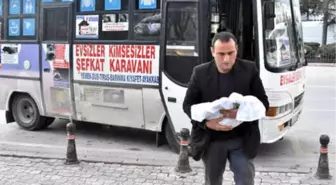 Köpek Ölülerini Kefenleyip Belediye Binası Önüne Getirdi