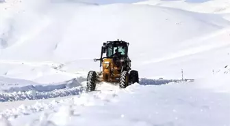 Van'da Karla Mücadele Çalışması