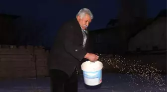 Yazın Satın Aldığı Buğdayı Kışın Kuşlara Yediriyor