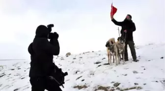 İtalyan Basınının Kangal Köpeği İlgisi