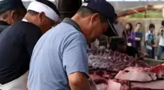 Japonya Balina Avcılığına Neden Hâlâ Devam Ediyor?