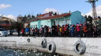 Eğirdir Gölü'ndeki Kuşlar Beslendi