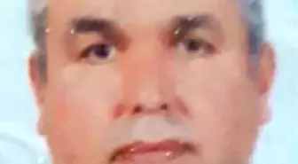 Budamak İçin Çıktığı Ağaçtan Düşerek Öldü