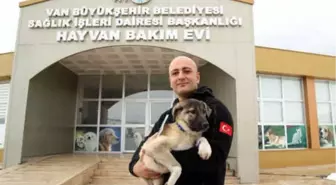 Polis Memuru, Kurtardığı Köpeğe 'Buz' İsmini Verip, Sahiplendi