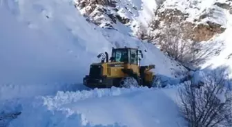 Sincik'te Kapanan Köy Yolları Açılıyor