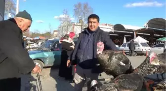 Yılbaşına Özel Yetiştirdiği Hindileri Satıyor