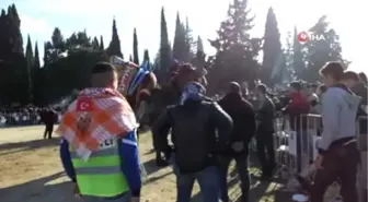 Yılın Son Deve Güreşi Gömeç'de Yapıldı