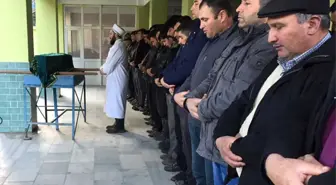 Hazal Bebeğin Cenazesi Toprağa Verildi