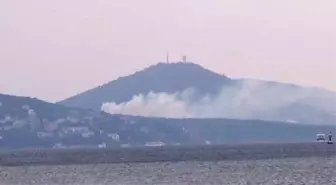 Büyükada'da Yangın