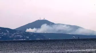 Büyükada'da Yangın