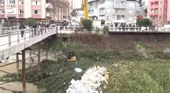 Asi Nehri Su Canavarlarından Kurtuldu