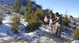 Karaman'da Hayvanlar İçin Doğaya Yiyecek Bırakıldı