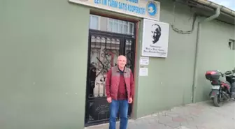 Zeytin Kooperatifi Sezonu Kapattı
