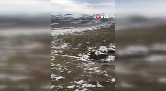 Elazığ'da 10 Kişi Kaçak Kazı Yaparken Yakalandı