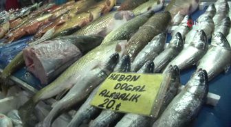 Elazığ'da Balık Bereketi, Hamsiden Bile Ucuz