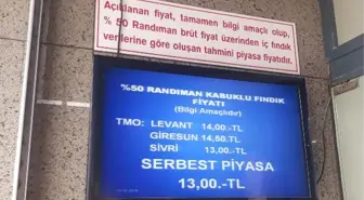 Fındık, Serbest Piyasada, TMO'nun Gerisinde Kaldı