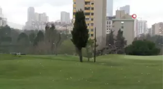 Futgolf Sporu Tanıtıldı