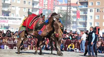 Haytap, Çiğli'deki Deve Güreşleri Festivali'nin İptalini İstedi