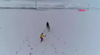 Erzurum Erzurum Ovası'nda Atlı Snowboard Keyfi