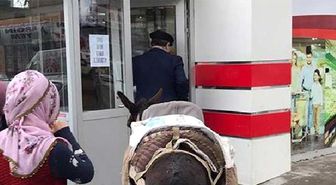 Markete Eşekle Alışverişe Gelen Vatandaşın Marketin Müdürü Olduğu Ortaya Çıktı