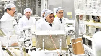 Tuzcuoğlu, Halk Ekmek Fabrikası'nda İncelemelerde Bulundu