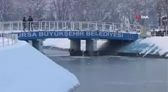 Buz Tutan Havuzu Görenler Hayran Kaldı