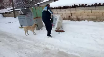 Edirne'den Kısa Kısa