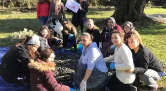 Lösemili Çocuklar İçin İmece Usulü ile Zeytin Hasadı Yaptılar