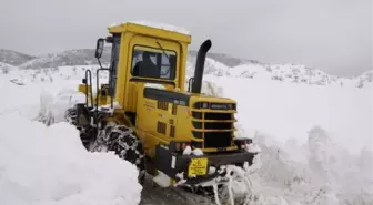 Nazımiye'de Kar 2 Metreye Aştı, Belediye Başkanı Yardım İstedi