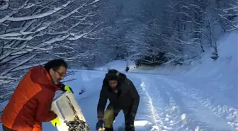 Yaban Hayvanları İçin Ormanlık Alana Yiyecek Bıraktılar
