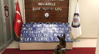72 Kilo Eroini Narkotik Köpeği 'Zeyna' Buldu