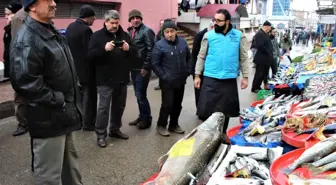 Bu Kez de 1 Metre 64 Santimlik 84 Kilo Turna Yakalandı